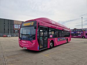 reading buses pink bus